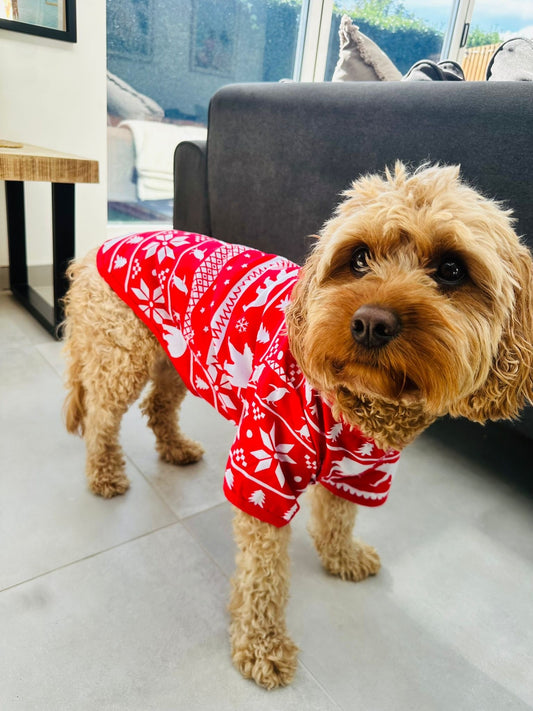 Dog Christmas Pyjamas