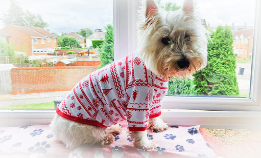 Dog Christmas Pyjamas
