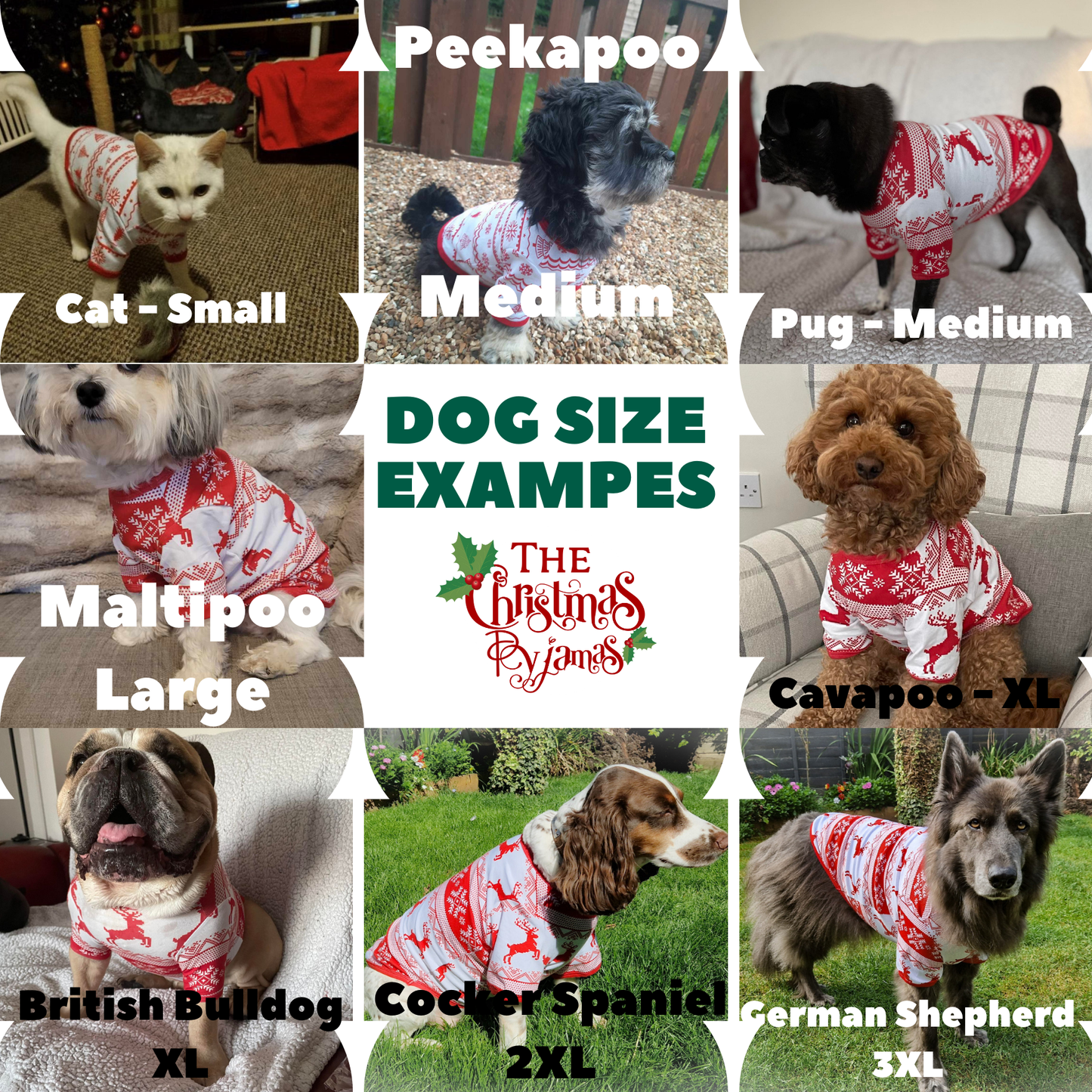 Magical Pet Christmas Pyjamas