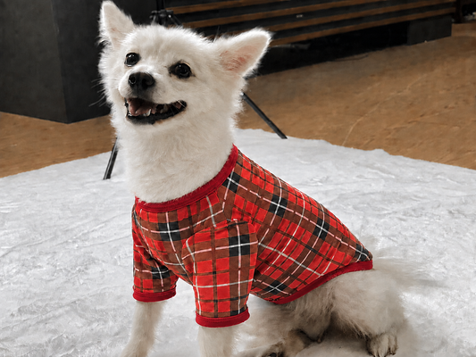 Tartan Pet Christmas PJs