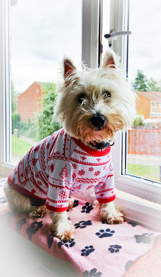 Dog Christmas PJ's
