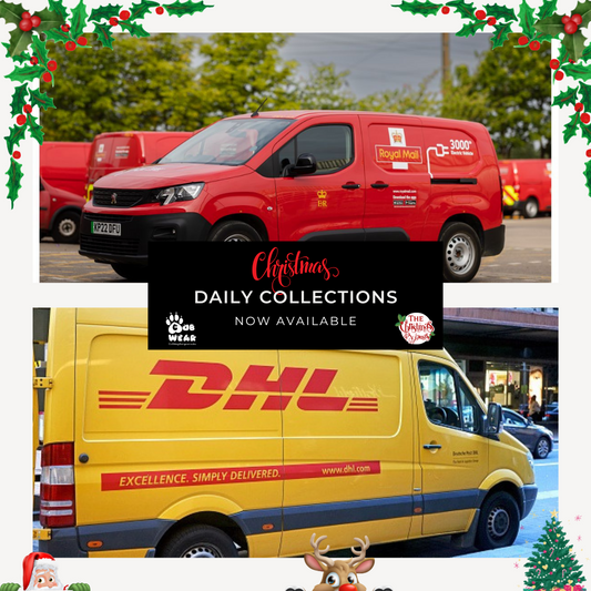 Daily Collections with Royal Mail & DHL
