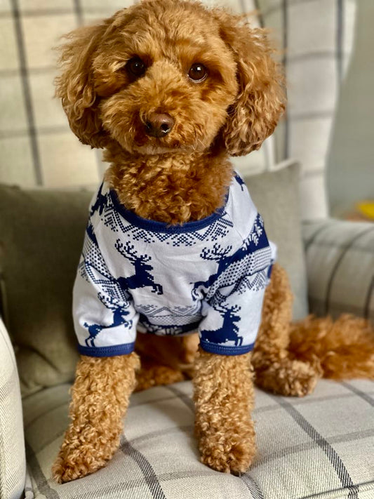 Dog Christmas Pyjamas
