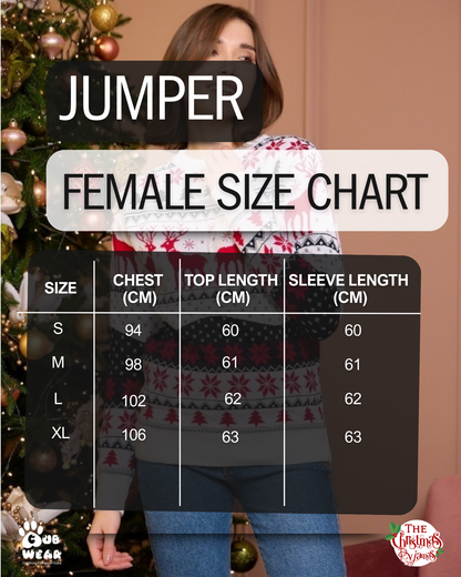 Matching Christmas Jumper