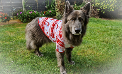 Dog Christmas Jumper