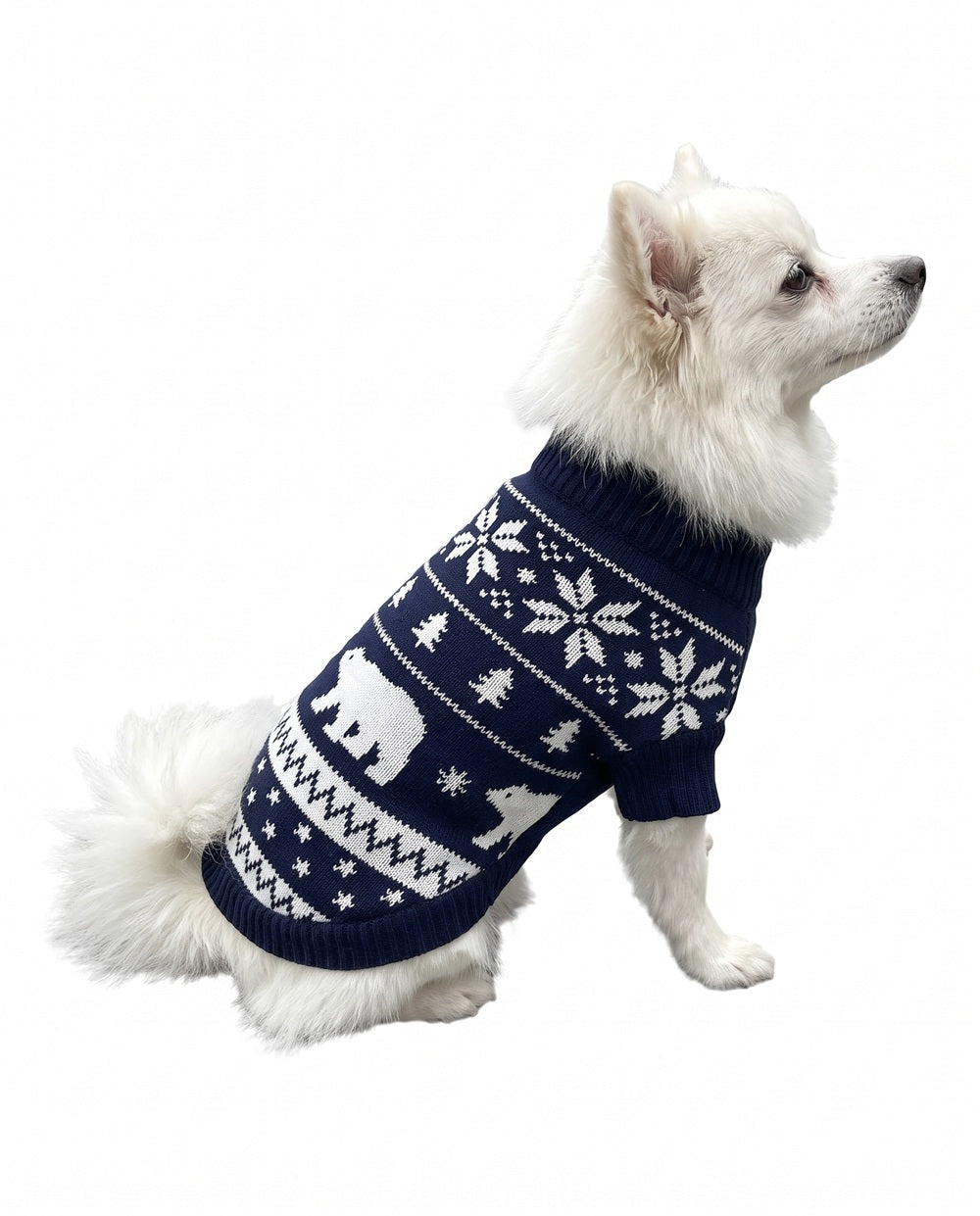 Christmas Polar Express Pyjamas Navy