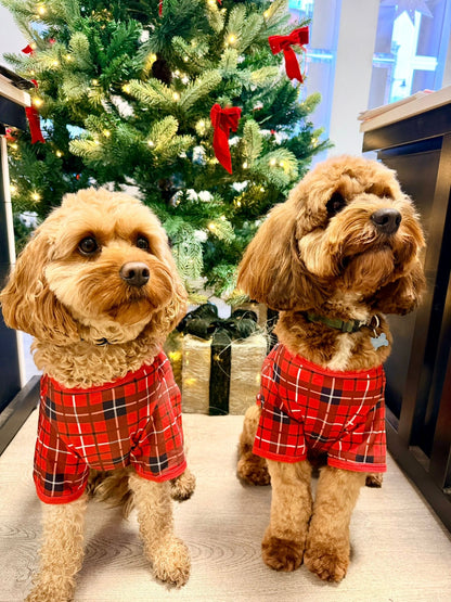 Tartan Pet Christmas PJs